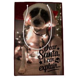 Lieve Kerstman, ik kan het uitleggen (hond) Medium Cadeauzakje