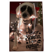 Lieve Kerstman, ik kan het uitleggen (hond) Medium Cadeauzakje (Achterkant)