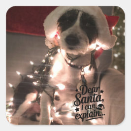 Lieve Kerstman, ik kan het uitleggen (hond) Vierkante Sticker