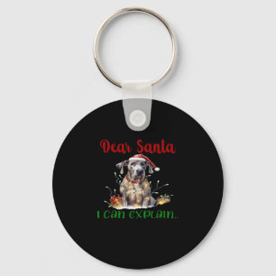 Lieve Kerstman, ik kan uitleggen hoe geweldig Dane Sleutelhanger