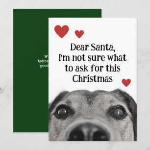 Lieve Kerstman Schattige Hond Kerst Groen Grappig Feestdagenkaart