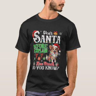 Lieve Kerstman, voordat je uitlegt hoeveel je papi T-shirt