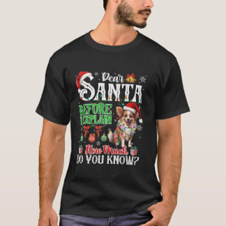 Lieve Kerstman, voordat je uitlegt hoeveel je papi T-shirt