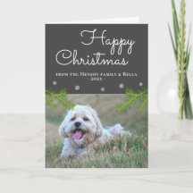 Lieve Kerstmis Dennentakken Sneeuwvlok Hond Foto