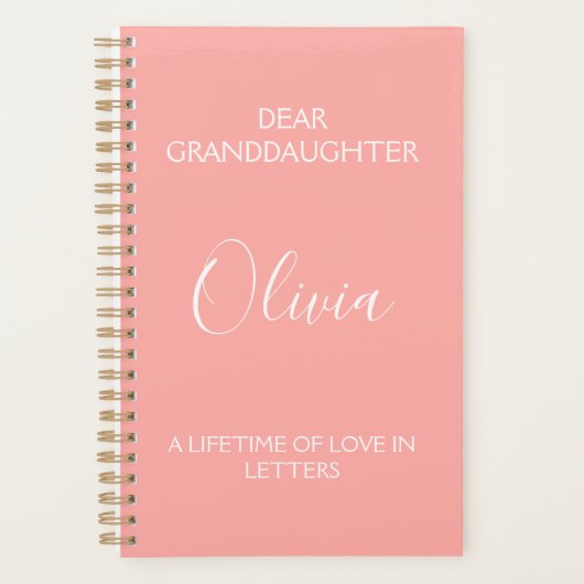 Lieve kleindochter: een leven lang liefde in briev planner (Voorkant)
