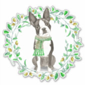 Lieve kleine Boston Terrier met sjaal Sticker (Voorkant)