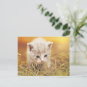 Lieve kleine kat briefkaart (Staand voorkant)