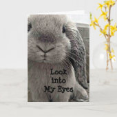 LIEVE KONIJN DIE LANGSKOMT OM GELUKKIGE VERJAARDAG KAART (Gele Bloem)