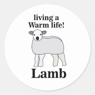 Lieve Lam Met Een Warm Leven Grappige Lam Ronde Sticker