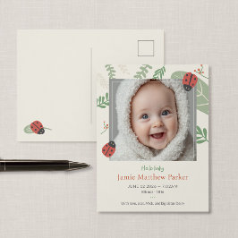 Lieve Lieveheersbeestje Baby Onthulling Ansichtkaa Briefkaart