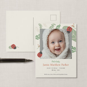 Lieve Lieveheersbeestje Baby Onthulling Ansichtkaa Briefkaart