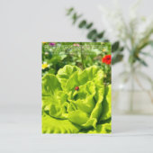 Lieve Lieveheersbeestje  Briefkaart (Staand voorkant)