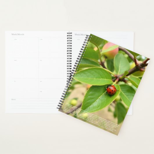 Lieve Lieveheersbeestje Kalender Planner (Display)