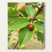 Lieve Lieveheersbeestje Kalender Planner (Achterkant)