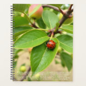 Lieve Lieveheersbeestje Kalender Planner (Voorkant)
