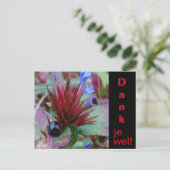 Lieve Lieveheersbeestje Klant. Tekst Bedankt Brief Briefkaart (Staand voorkant)