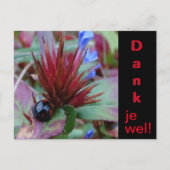 Lieve Lieveheersbeestje Klant. Tekst Bedankt Brief Briefkaart (Voorkant)