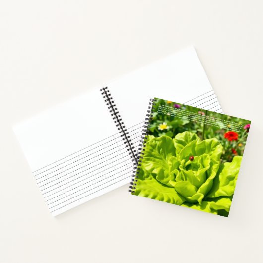 Lieve Lieveheersbeestje Notitieboek (Binnen)