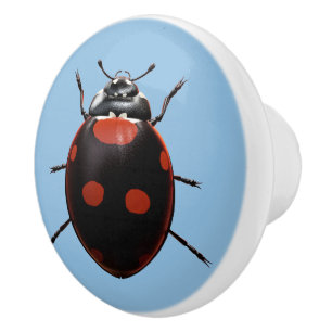 Lieve Lieveheersbeestje Ring Cute Natuur Symbool S Keramische Knop