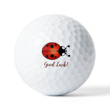 Lieve Lieveheersbeestje Rood Oranje Zwart Lievehee