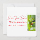 Lieve lieveheersbeestje Script Save the date uitno (Voorkant)