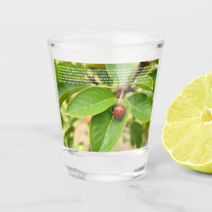 Lieve Lieveheersbeestje Shot Glas