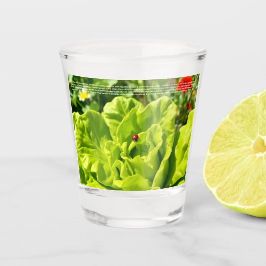 Lieve Lieveheersbeestje  Shot Glas (Voorkant)