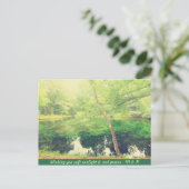 Lieve Little Pond Lush Green Tree Leaves Sunlight Briefkaart (Staand voorkant)