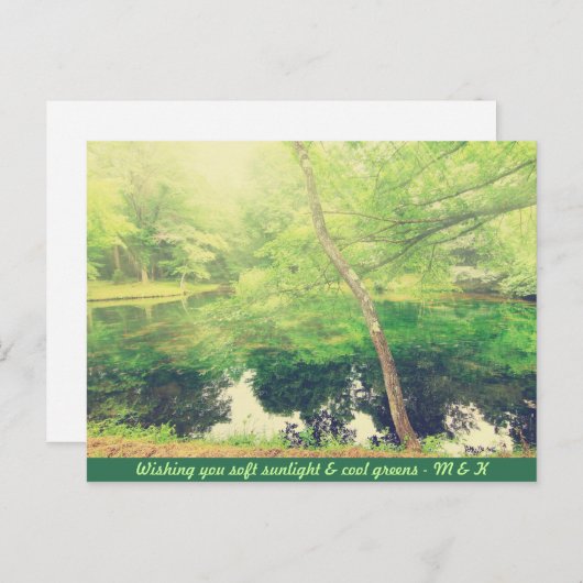 Lieve Little Pond Lush Green Tree Leaves Sunlight Briefkaart (Voorkant / Achterkant)