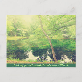 Lieve Little Pond Lush Green Tree Leaves Sunlight Briefkaart