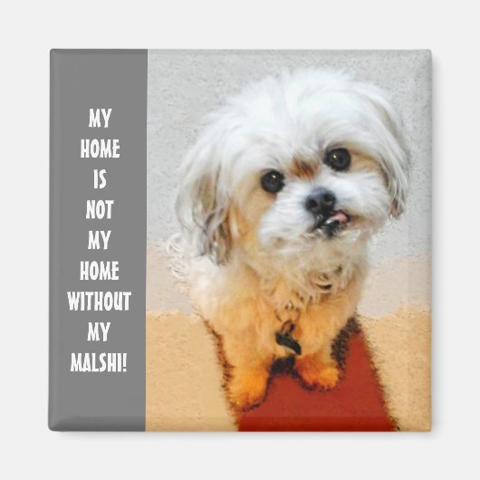 Lieve Malshi-magneet Magneet (Voorkant)