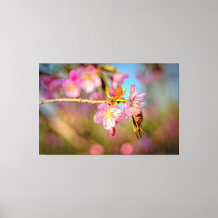 Lieve Mooie Kersenbloesems Bij Zonsondergang in de Canvas Afdruk