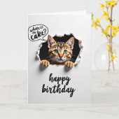 Lieve Nieuwsgierige Kat Kaart (Gele Bloem)