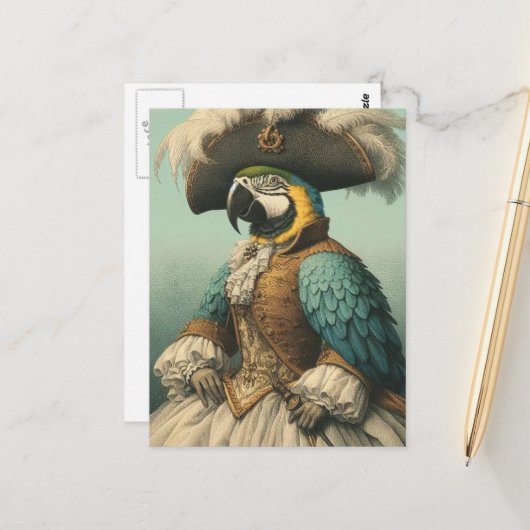 Lieve Piraatvogel Briefkaart (Voorkant / Achterkant in situ)