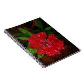 Lieve Raindrops op de Rode Dianthus Vloerfoto Notitieboek (Rechterzijde)