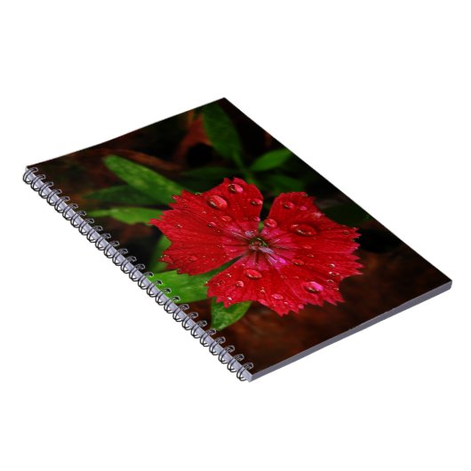 Lieve Raindrops op de Rode Dianthus Vloerfoto Notitieboek (Rechterzijde)