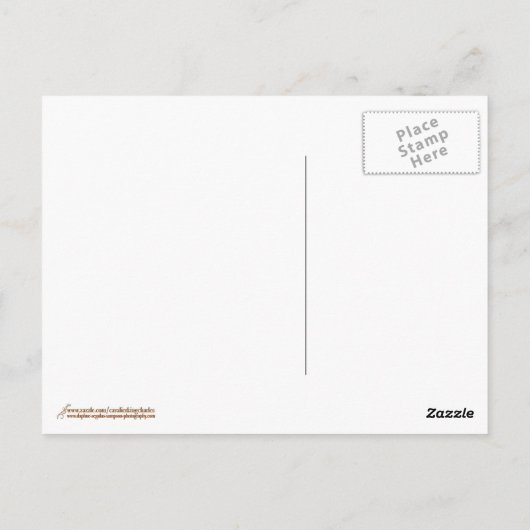 Lieve Ruby Cavalier King Charles Spaniel Briefkaart (Achterkant)