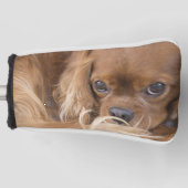 Lieve Ruby Cavalier King Charles Spaniel Golfheadcover (Voorkant)