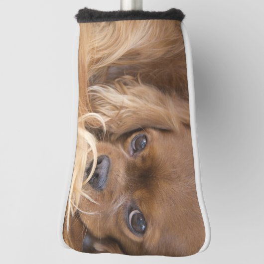 Lieve Ruby Cavalier King Charles Spaniel Golfheadcover (Draai 90)