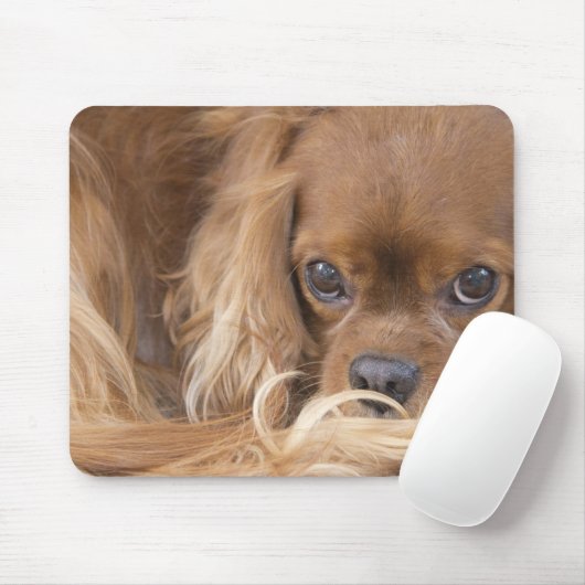 Lieve Ruby Cavalier King Charles Spaniel Muismat (Met muis)