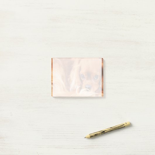 Lieve Ruby Cavalier King Charles Spaniel Post-it® Notes (Op bureau)