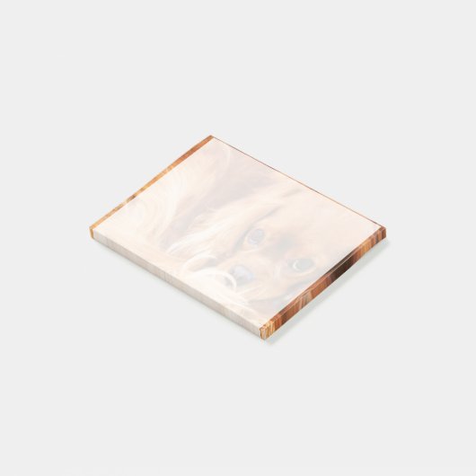 Lieve Ruby Cavalier King Charles Spaniel Post-it® Notes (Schuin)