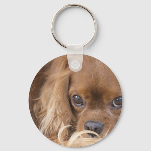 Lieve Ruby Cavalier King Charles Spaniel Sleutelhanger (Voorkant)