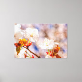 Lieve Sakura-ventilator op een zonnige dag van de  Canvas Afdruk (Voorkant)