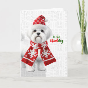 Lieve Shih Tzu Hond Grappige Vlooien Navidog Kerst Feestdagen Kaart