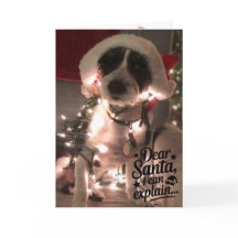 Lieve Sint, ik kan het uitleggen (hond)