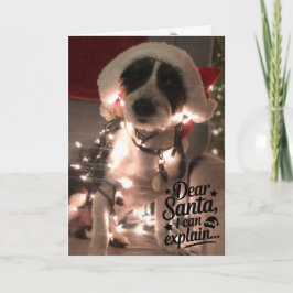 Lieve Sint, ik kan het uitleggen (hond) Kaart