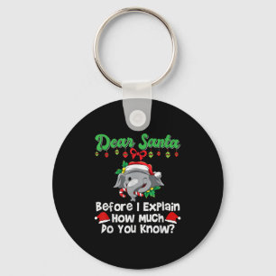 Lieve Sint voordat ik het uitleg Hoeveel weet je Sleutelhanger