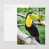 Lieve touchfunctionaliteit briefkaart (Voorkant / Achterkant)