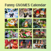 Lieve Tuinkabouter Fotografie Kalender